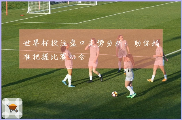 世界杯投注盘口走势分析，助你精准把握比赛机会
