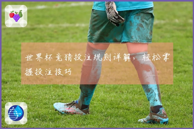 世界杯竞猜投注规则详解，轻松掌握投注技巧
