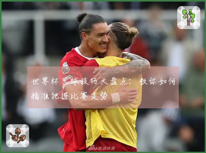 世界杯买球技巧大盘点：教你如何精准把握比赛走势