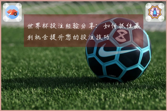 世界杯投注经验分享：如何抓住赢利机会提升您的投注技巧