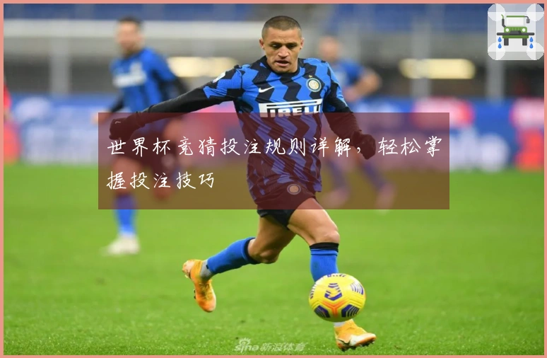 世界杯竞猜投注规则详解,轻松掌握投注技巧