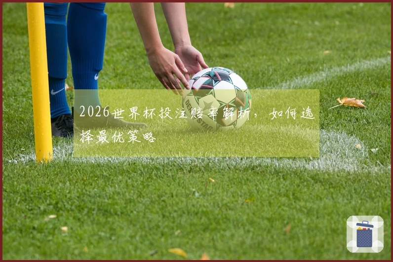 2026世界杯投注赔率解析，如何选择最优策略
