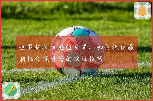 世界杯投注经验分享：如何抓住赢利机会提升您的投注技巧