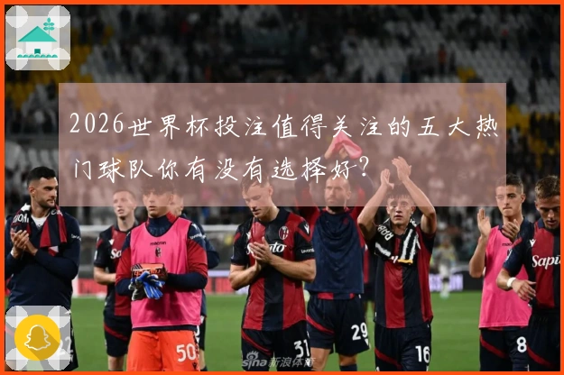 2026世界杯投注值得关注的五大热门球队你有没有选择好？