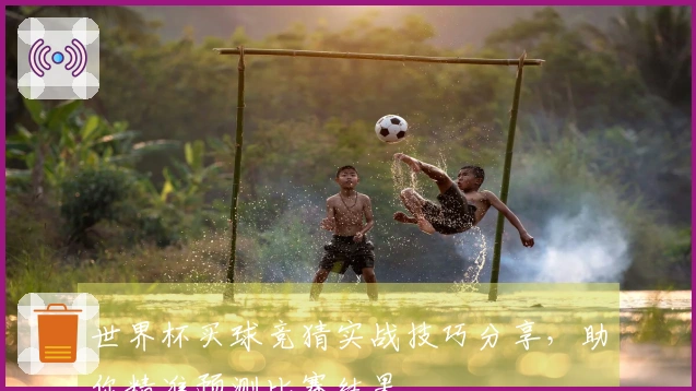 世界杯买球竞猜实战技巧分享，助你精准预测比赛结果