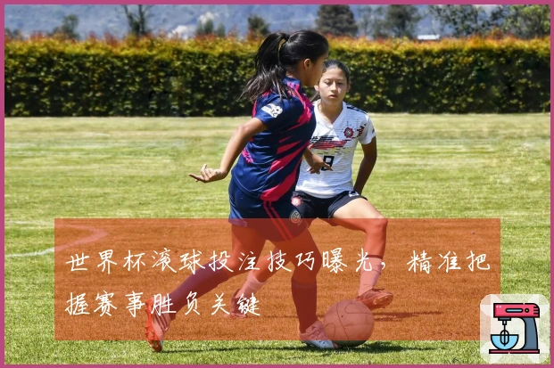 世界杯滚球投注技巧曝光，精准把握赛事胜负关键