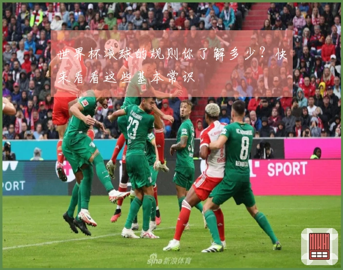 世界杯滚球的规则你了解多少？快来看看这些基本常识