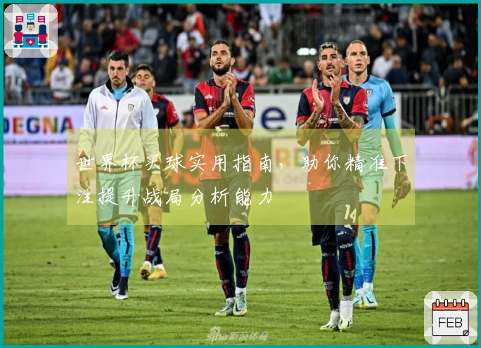 世界杯买球实用指南，助你精准下注提升战局分析能力